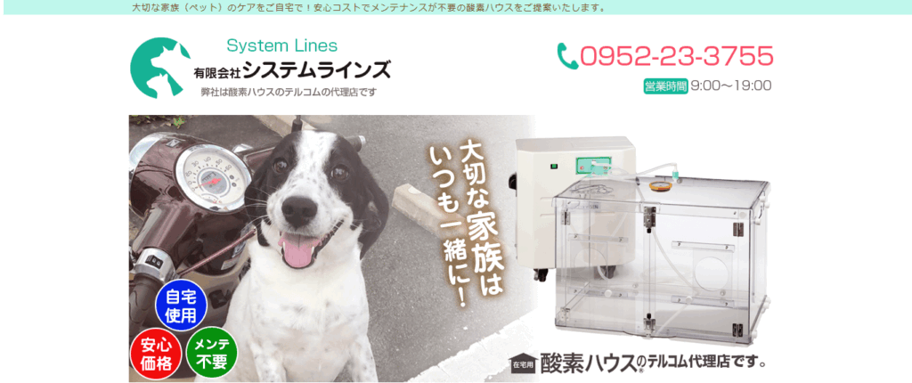 有限会社システムラインズ